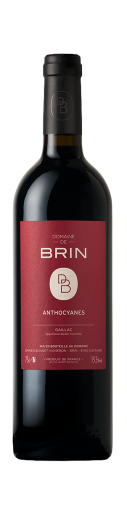 Anthocyanes, rouge, 2016 Anthocyanes, rouge, 2016